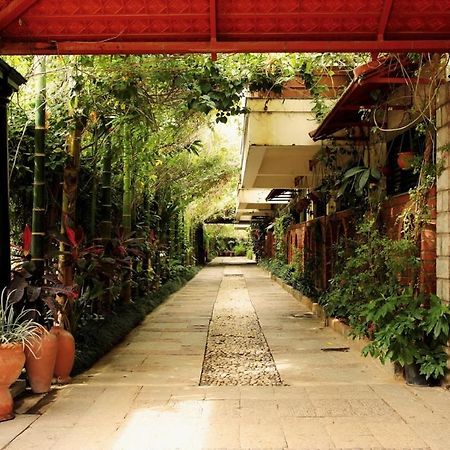 The Green Path Eco Hotel Bangalore Bagian luar foto
